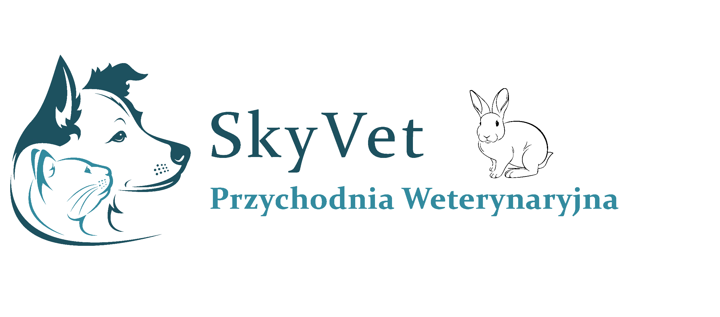 sky-vet-transparent